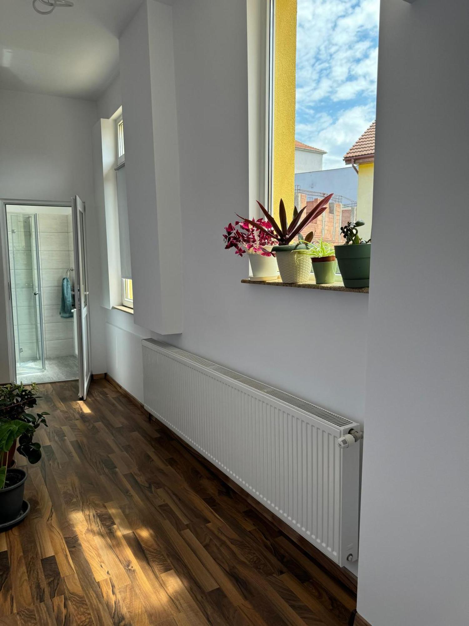 Apartament Victoria Timişoara Exterior foto