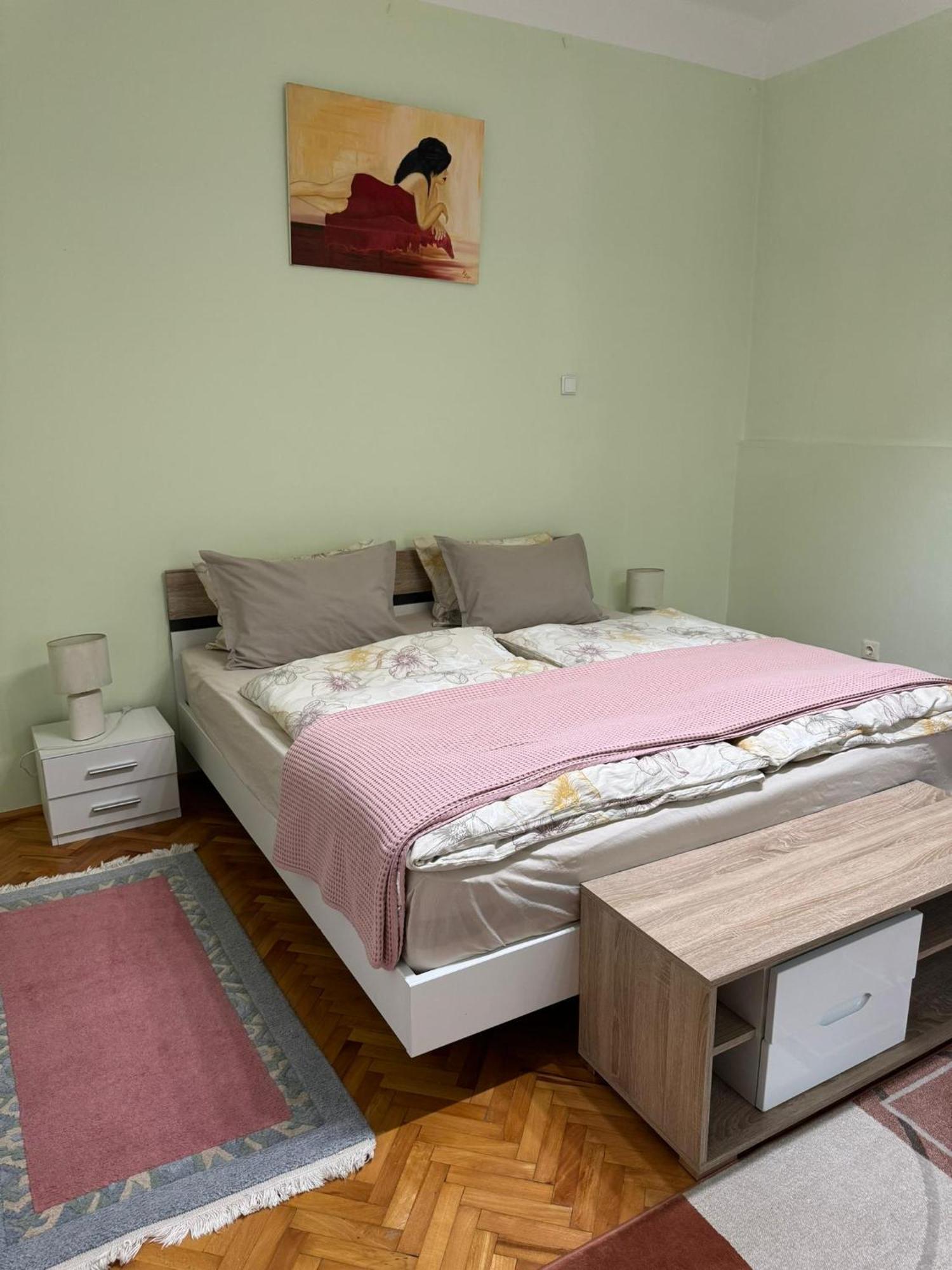 Apartament Victoria Timişoara Exterior foto