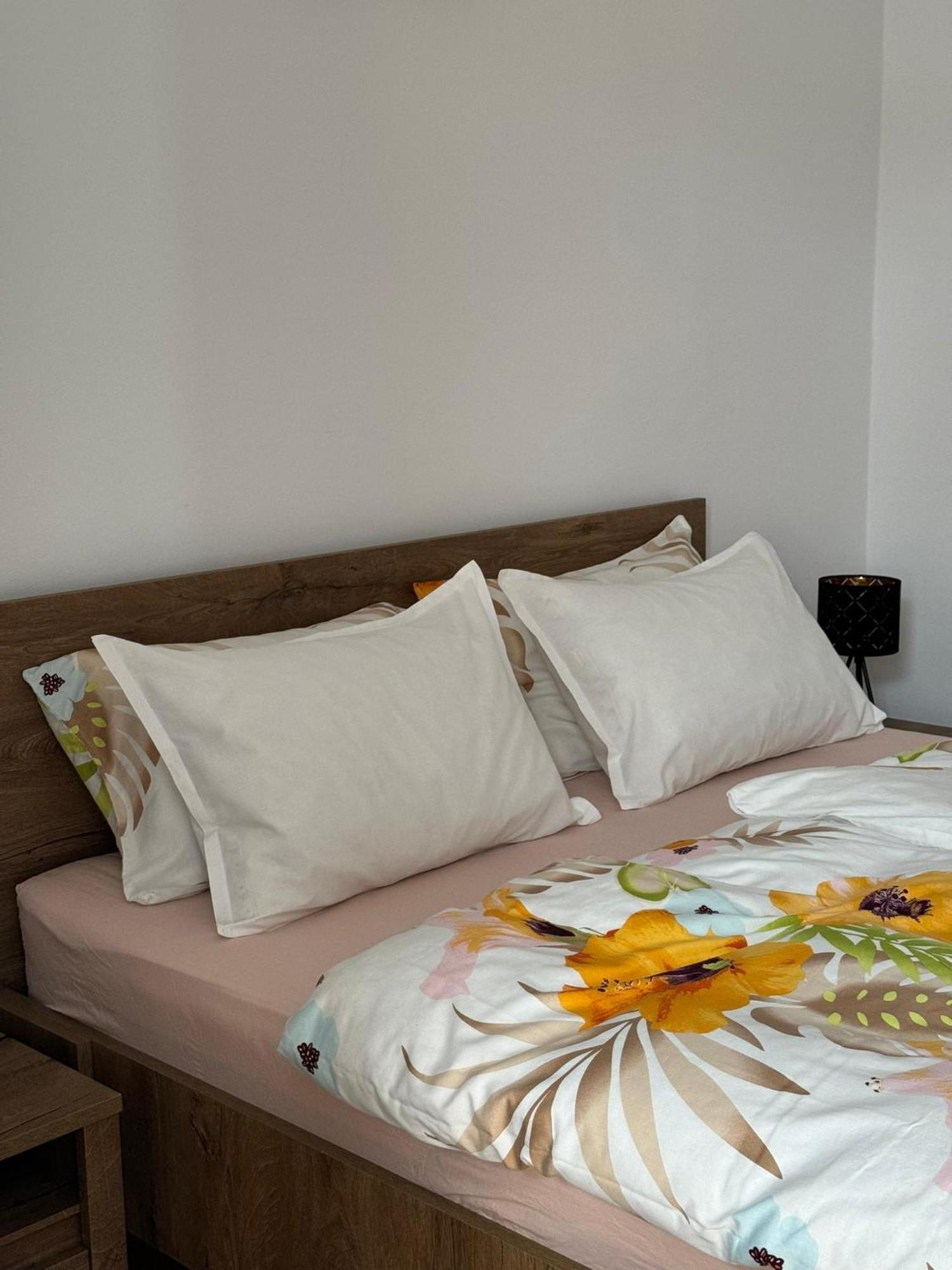 Apartament Victoria Timişoara Exterior foto